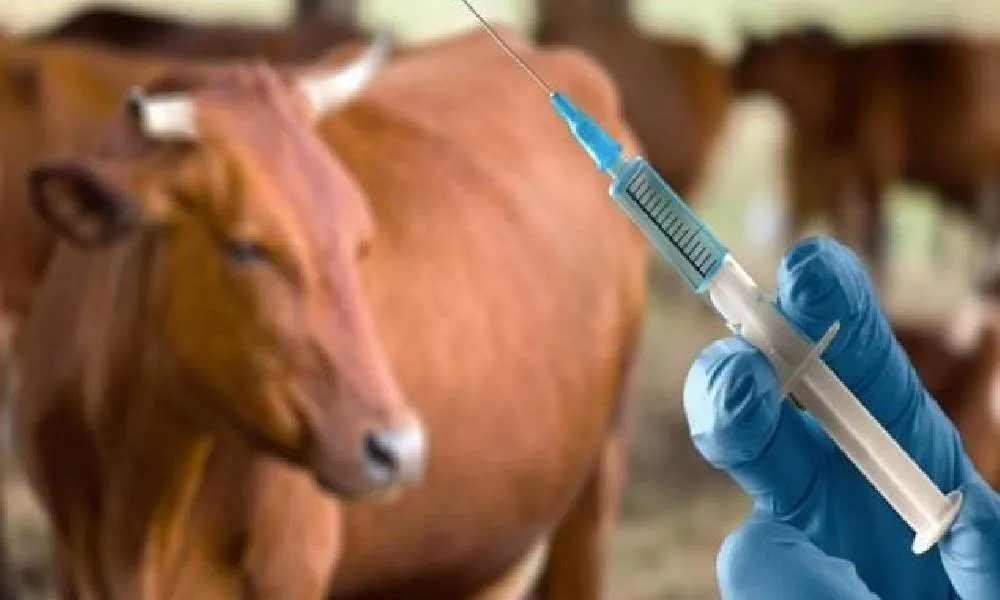 चिकित्सा उपचार एवं पुनर्वास