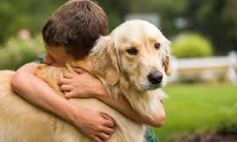 जागरूकता एवं पशु अधिकार