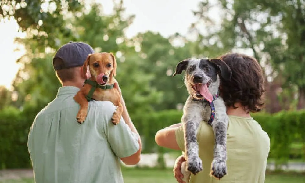स्वयंसेवक एवं सामुदायिक सहयोग