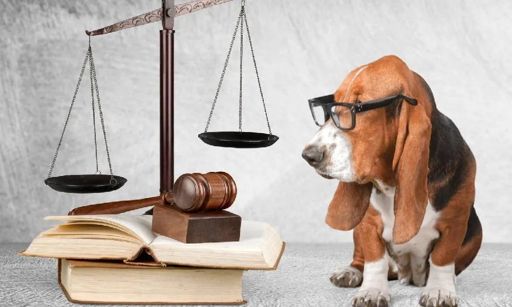 रोकथाम एवं संरक्षण